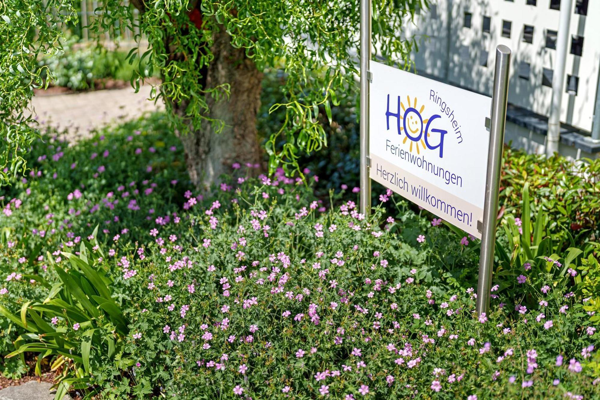 Ferienwohnungen Hog , Ringsheim Bagian luar foto